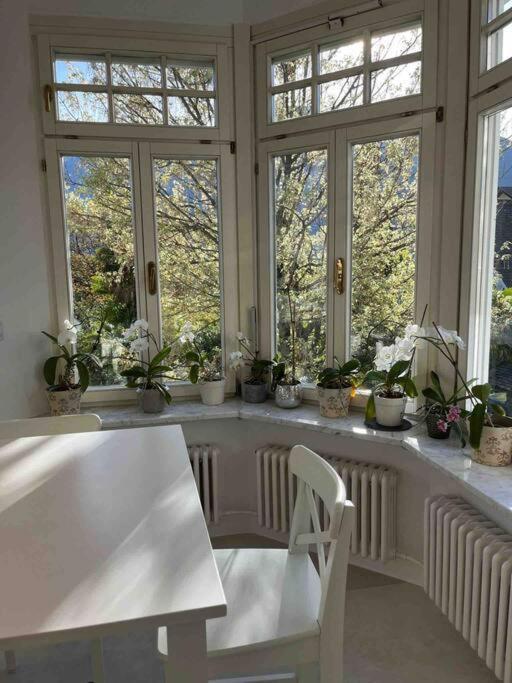 Laurelia Suites Merano Kültér fotó